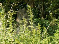 Székely-Körmöczy - Darvas